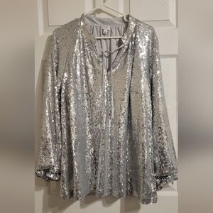 Silver Sequin Dress